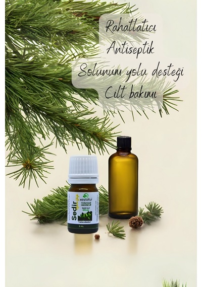 Einnatur Sedir Uçucu Yağı %100 Saf Cedrus Atlantica Essential Oil 5 ML