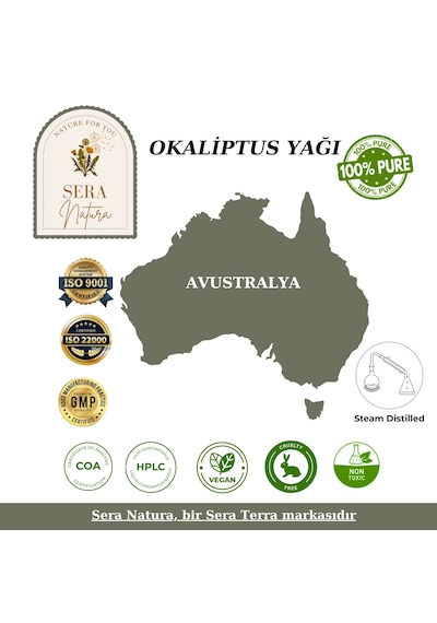 %100 Saf Okaliptus Uçucu Yağı 10 Ml - Doğal Nefes Ve Terapi Etkili Eucalyptus Globulus 10 ML
