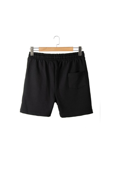 Terapi Men Erkek Siyah Basic Regular Fit Şort & Bermuda Siyah