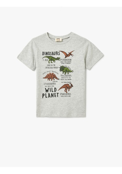Koton Bej Erkek Çocuk T-shirt 5skb10092tk Bej