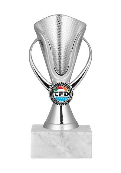 Odak Kupa - Genel Kupalar - Gn-060 C - 17 Cm Altın