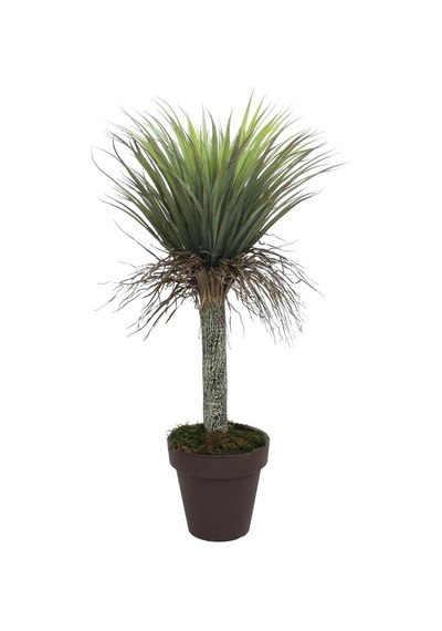 Yapay Nolina Ağacı 115 Cm-8783