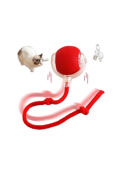 Şarjlı Kedi Oyuncağı