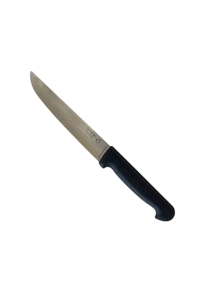 Zenvia Bursa Mutfak Ve Ekmek Bıçağı 16,5 Cm, Plastik Sap Znv2026 Çok Renkli