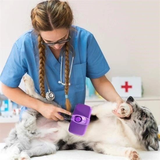 Mcg Mcg Otomatik Temizlenebilen Tuşlu Pratik Kedi Köpek Tüy Toplama Fırçası