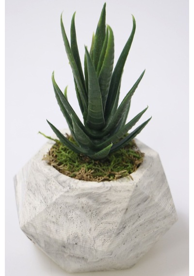 Yapay Çiçek Deposu Handmade Beton Saksıda Yapay Succulent Sukulent 16 Cm Model-1 Grafiti Gri