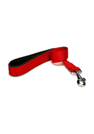Köpek Gezdirme Kayışı 1,5 Cm X 115 Cm Kırmızı Çok Renkli