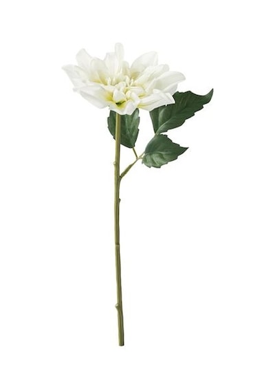 Ikea Smycka Yapay Çiçek, Beyaz, 30 Cm, İç/dış Mekan Yıldız Çiçeği