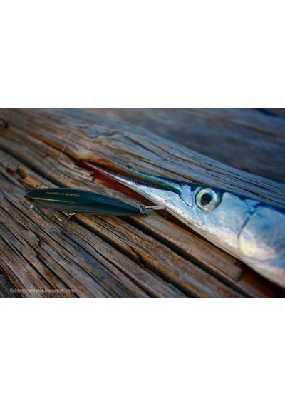 Duo Tide Minnow 75 Sprint Ccc0066 / Ghost Poison Candy
