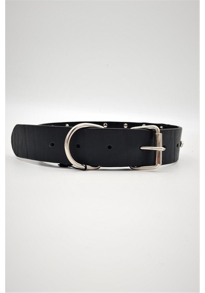 Hakiki Deri Ayarlanabilir Büyük Irk Köpek Tasması 4 CM x 67 CM Haki