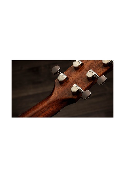 Taylor Gold Label 717e Elektro Akustik Gitar 104051399943