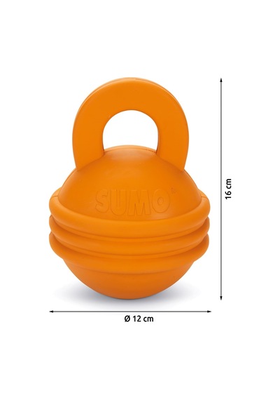 Sumo Kettlebell Girya Şeklinde Dental
