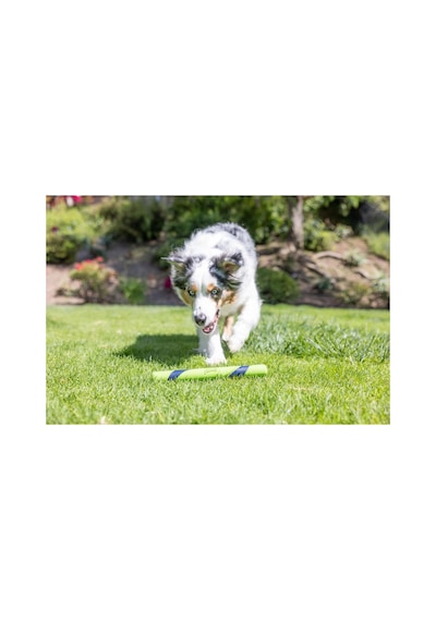 Sniff Fetch Stick Kokulu Köpek Oyuncağı Fıstık Ezmesi Aromalı