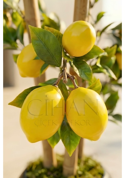 Cihan Çiçekçilik Yapay Limon Bambu Ağacı - Beyaz Küre Saksılı 100 Cm