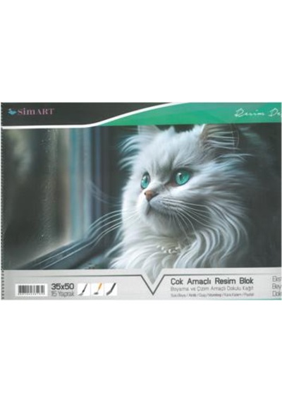 Sim Karton Kapak Spr Resim Defteri 34x48 15 Yp Kedili