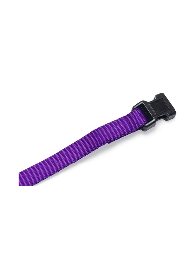 Beeztees Yavru Köpek Boyun Tasması, Çeşitli Renklerde, 22-35cm, 10mm Çok Renkli