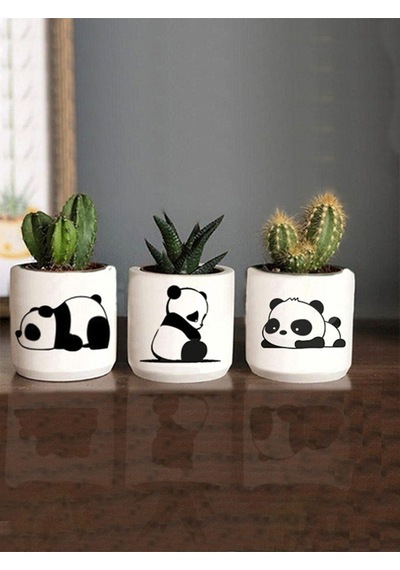 Yorgun Panda Desenli Saksı Üçlü Set- Küçük Boy Sukulent Saksısı Çizim Panda Hediyelik