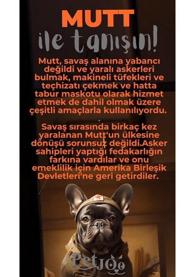 Petjoo 10.Mutt Gri-Turuncu Qr'lı Köpek Künyesi