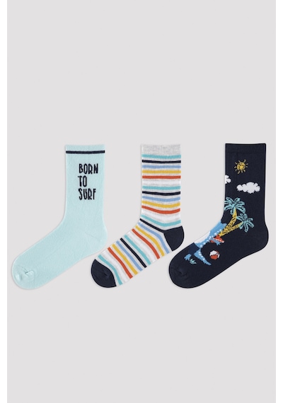 Penti Siyah Erkek Çocuk Born To Surf 3'lü Soket Çorap Çok Renkli