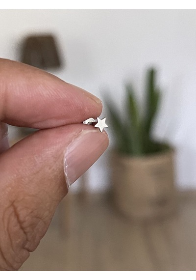 316 L Cerrahi Çelik Tragus Helix Kıkırdak Conch Minik Yıldız Piercing Beyaz