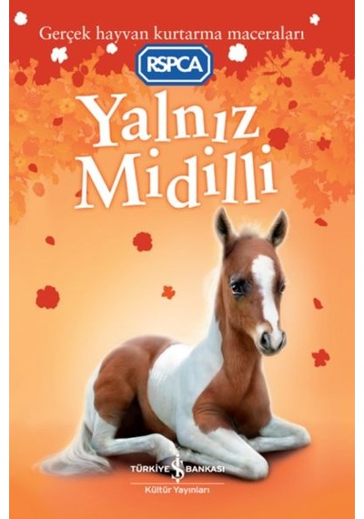 Yalnız Midilli