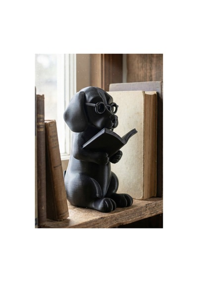 Kitap Okuyan Köpek Figür 15cm