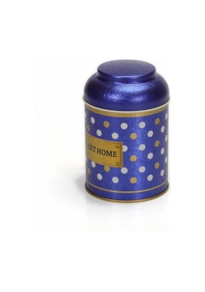 Ef080-69 Point Blue Desenli Baharatlık 0,6 Lt Çok Renkli