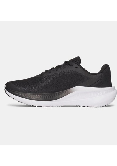 Under Armour Ua Chase Mens Black / Black / White 6014417-001 Siyah