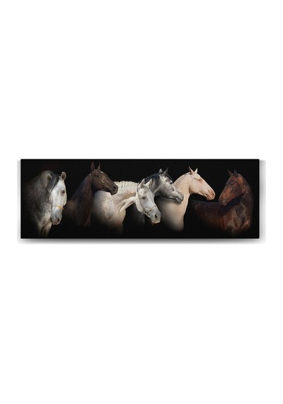 Panorama Tablo - 120x40cm