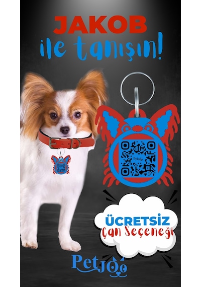 Petjoo 8.Jakob Mavi-Kırmızı Qr'lı Köpek Künyesi