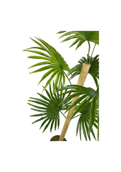 Yapay Ağaç Fanpalm 8yaprak 85 45cm Yelpaze Palmiye Siyah Aleminyum Saksı