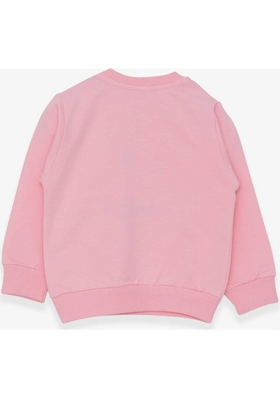 Breeze Kız Çocuk Sweatshirt Nakışlı Pullu 1-4 Yaş, Pudra ((553858002) Çok Renkli