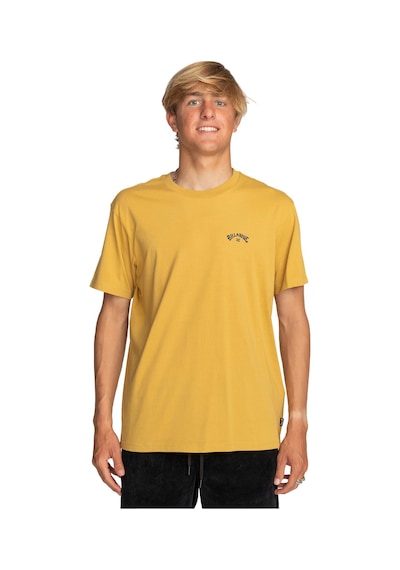 Billabong Arch Wave Tees Sari