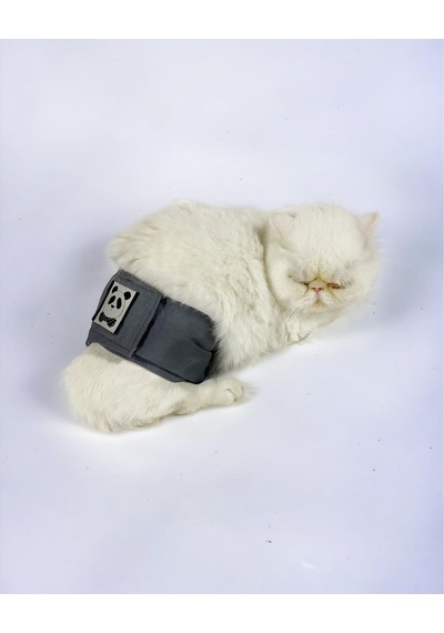 Kemique Kedi Çiş Bel Bandı Yıkanabilir Sızdırmaz Kedi Kıyafeti