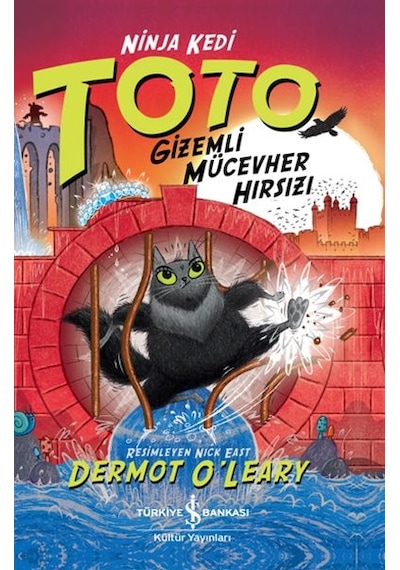 Ninja Kedi Toto Gizemli Mücevher Hırsızı