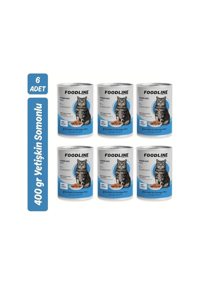 Tr Yetişkin Kedi Konservesi 400 Gr, Gravy Sos İçerisinde Parça Etli 400 Gr X 6 Adet, Somon