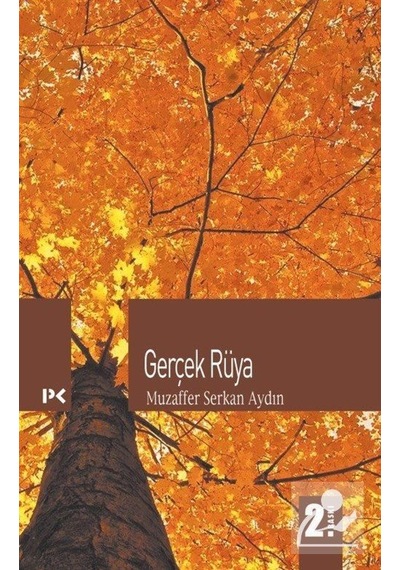 Gerçek Rüya - Muzaffer Serkan Aydın - Profil Kitap