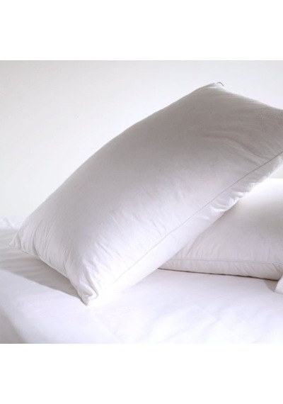 Bilgiçler Silikon Yastık 1000 G