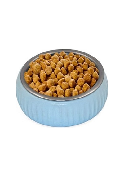 Mikopet Organik Seramik Mama Kabı Mavi