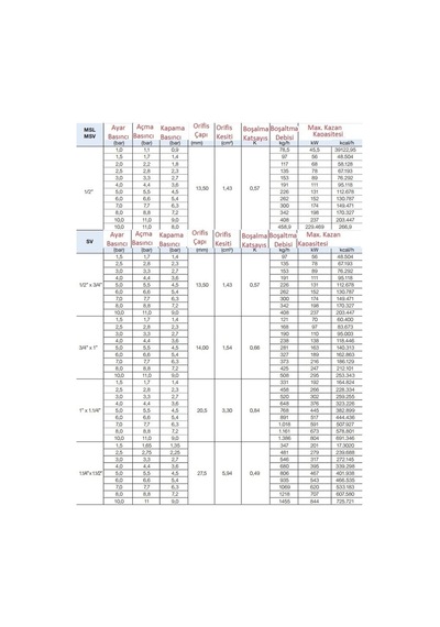 Watts Emn. Ventili 1''-10 Bar - Svw/E-218610