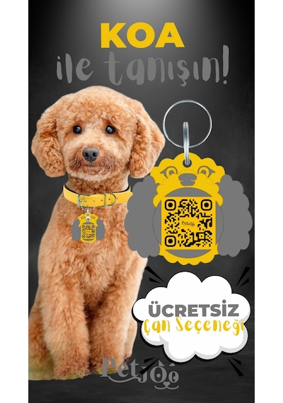 Petjoo 14.Koa Gri-Sarı Qr'lı Köpek Künyesi