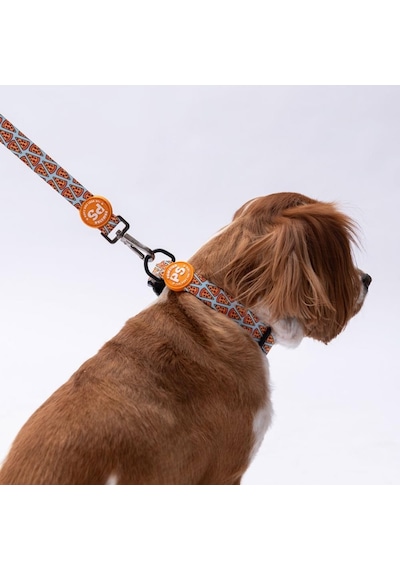 Pizza Desenli Köpek Boyun Tasması Ayarlanabilir Köpek Tasması Turkuaz