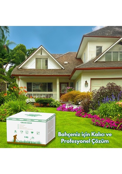 Ayrex Ebitkisel Çok Yıllık Çim Tohumu 5 Kg Uzun Ömürlü 6'li Karışım Gölge Ve Aşırı Güneşli Alan Uygun Ye 0,250