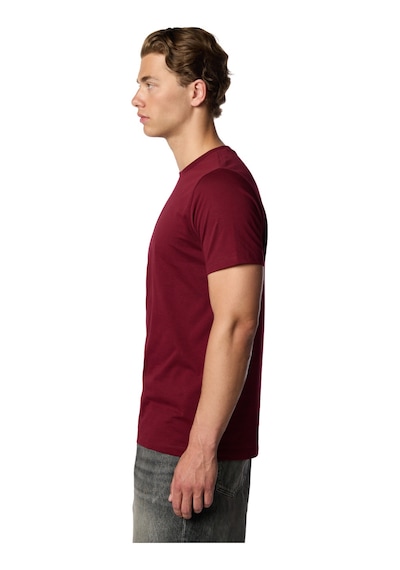 Gsstore Galatasaray 5 Yıldız T-shirt E251393 Bordo
