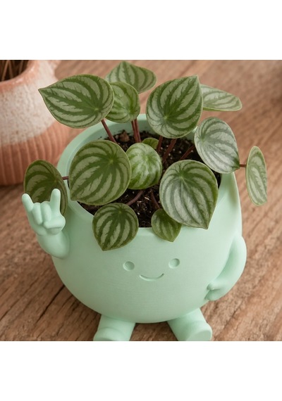 3d Baskı Smiley Face Planter - Gülümseyen Karakterli Saksı-mint