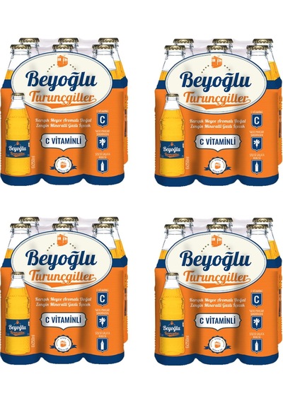 Beyoğlu Gazozu Turunçgiller Karışık Meyve Aromalı Gazlı İçecek 250 Ml X 24 Adet
