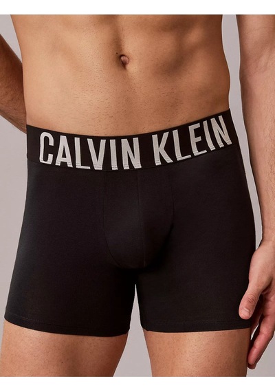 Calvin Klein Erkek Logolu Beli Lastikli Yüksek Bel Pamuklu Siyah3 Boxer-15671