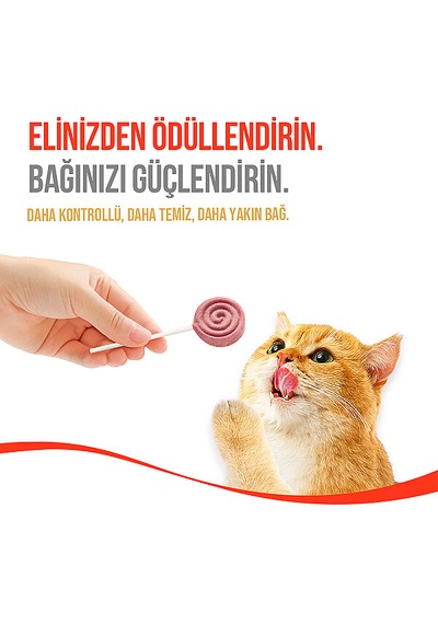 Wanpy Kediler İçin Dondurularak Kurutulmuş Lolipop - Kızılcık - 1.4 G