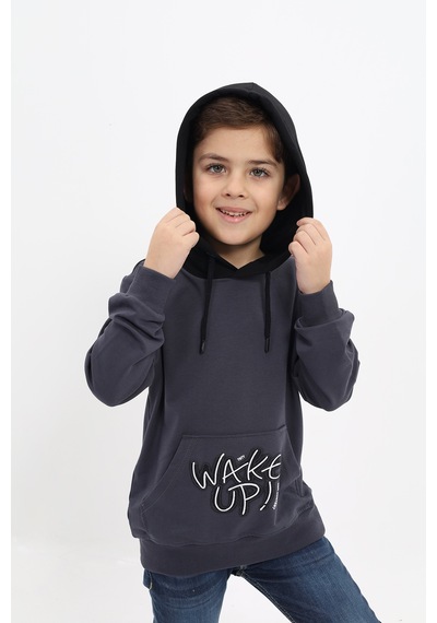 Toontoy Kids Toontoy Erkek Çocuk Relax Fit Kapüşonlu Cepli Renk Bloklu Baskılı Sweatshirt - 2 İplik Füme