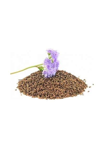 Arı Otu Faselya 500 GR 500 GR